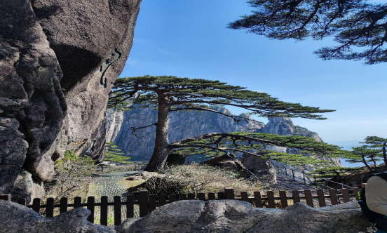 1679293689778.jpg 1679293689778.jpg