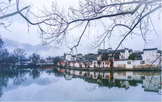 1679294555359.jpg 1679294555359.jpg